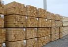 加工各种板材方木，提供优质建筑板材，山东博通木材加工厂.