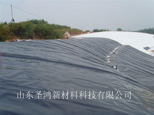 供应HDPE土工膜，HDPE光面土工膜，土工膜价格低