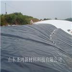 供应HDPE土工膜，HDPE光面土工膜，土工膜价格低