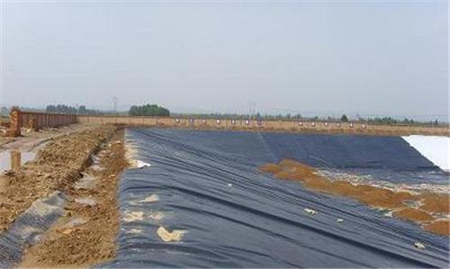 土工膜防水防潮使用2.0土工膜|HDPE土工膜 西南地区做得好的厂家是？