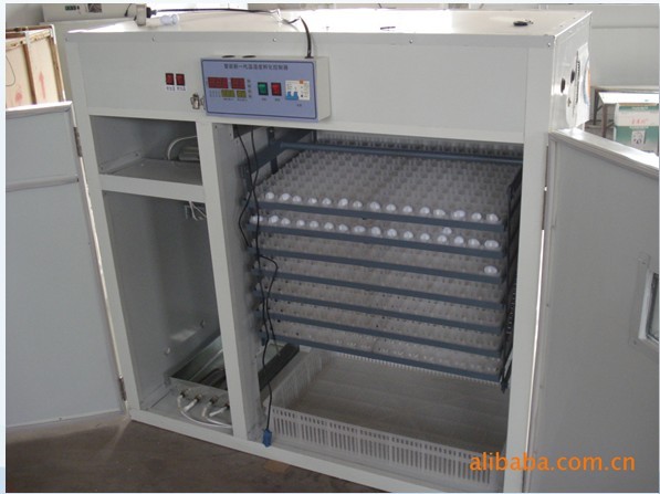 供应淮安全自动孵化机 大同孵化设备 丽水孵化器箱
