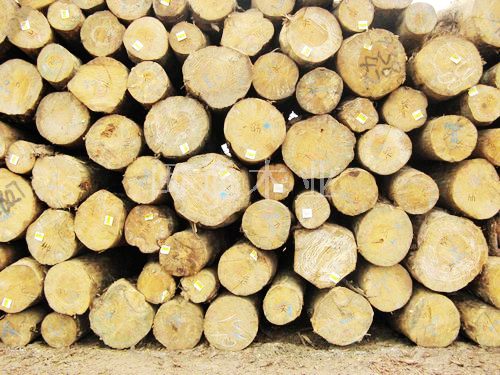 国行木业铁杉方木，铁杉方木图片，供应铁杉方木，铁杉方木价格国行木业
