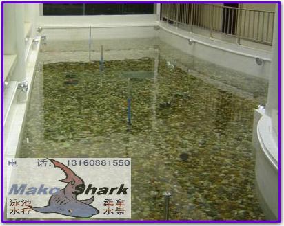肇庆专业鱼池工程推荐玛鲨鱼池设备