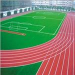 永州塑胶跑道工程|塑胶跑道施工|中星体育