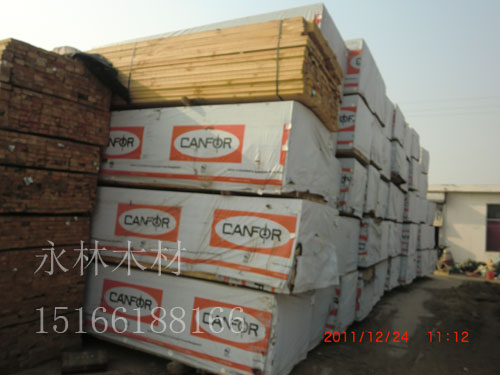 徐州进口方木木材价格，优质巴西松木材，辐射松木材