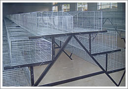 日照鸡笼价格是多少，鸡笼制造商，山东新型鸡笼图片