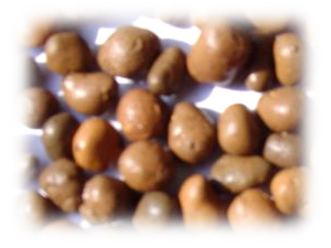 供应石家庄陶粒，保定优质陶粒生产厂家