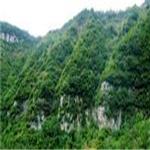 仰天山青州旅游|旅游景点|潍坊旅游|旅游景区|休闲旅游好去处
