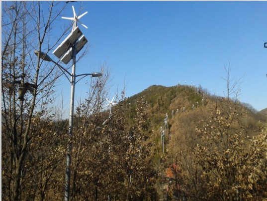 路灯亮化 led路灯 风光互补型路灯