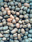 孝义直供果壳滤料，核桃壳，杏壳果壳滤料使用说明及价格