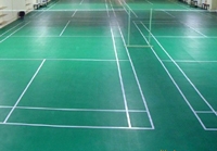 宁波 提供乒乓球地胶 羽毛球地胶 傲人体育