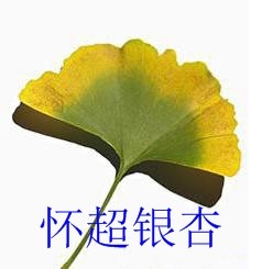 10公分的银杏树价格.11公分银杏树的价格【好】