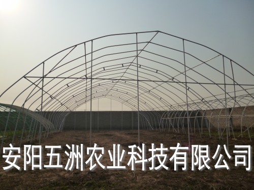 钢管大棚价格 多功能钢管镀塑温室大棚 蔬菜大棚建设