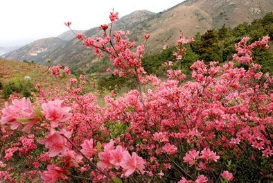 武漢春游云霧山登山探索民間藝術(shù)泥塑一日游武漢一日游 周邊一日游 春游線路