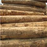 国行木业原木加工，优质原木，岚山原木生产商，日照进口原木厂家国行木业