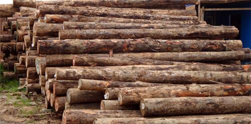 国行木业落叶松板材，落叶松方木规格，落叶松板材，落叶松木方国行木业