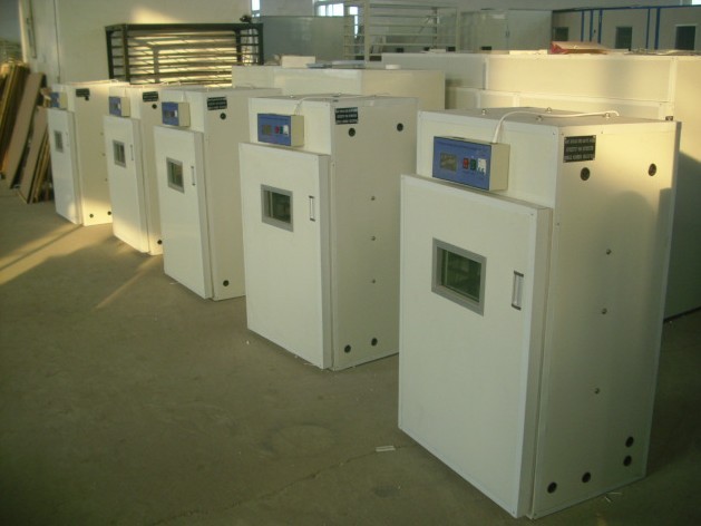 供应滁州 安庆全自动孵化机 孵化设备 智能孵化器箱