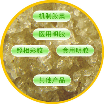 產品價格工業(yè)明膠-明膠片和明膠粉有什么區(qū)別？運興明膠知道