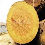 供应优质花旗松方木，供应铁杉板材，铁杉加工，铁杉方木价格