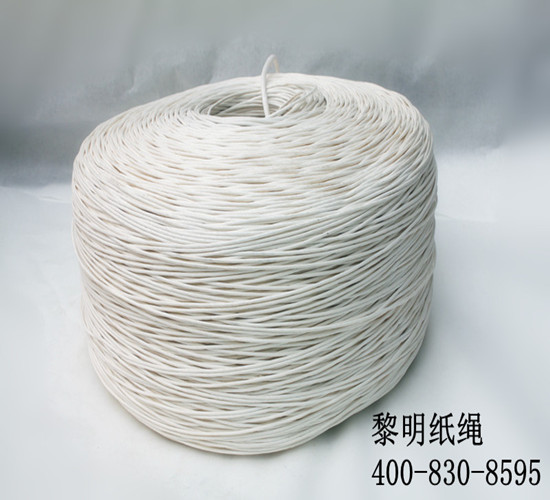 供应黎明纸绳——白色单股2.5mm
