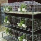 供应兔笼，水泥板兔笼，育肥笼