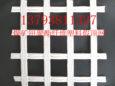 四川，重庆地区煤矿用支护网，聚酯塑料假顶网，土工格栅，护帮网找李长征