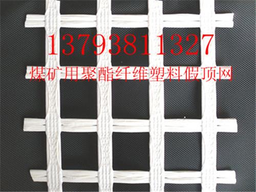四川，重庆地区煤矿用支护网，聚酯塑料假顶网，土工格栅，护帮网找李长征
