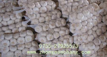 广州市供应，网眼袋大蒜网袋，龙眼网袋，水果网眼袋Gzyjl