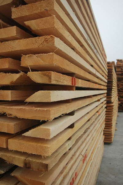 国行木业建筑木方，工地建筑木方，建筑木方厂家，山东建筑木方国行木业