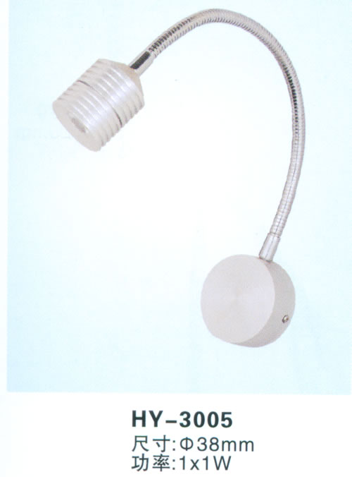 HY-3005软管射灯 LED灯具