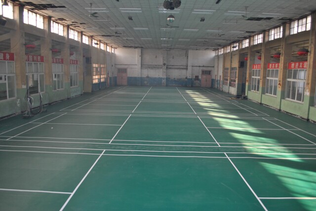 羽毛球运动地板乒乓球运动地板
