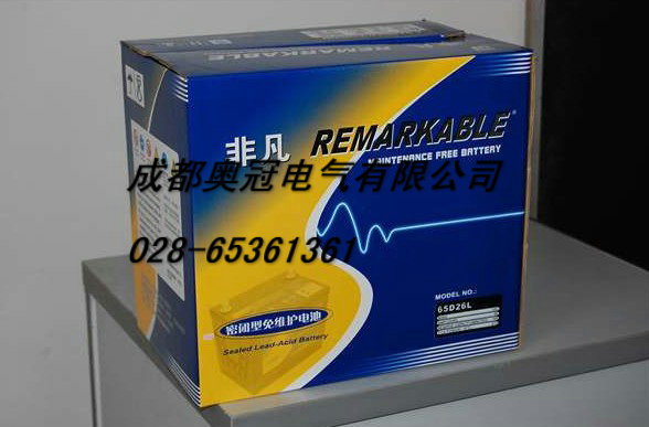 供应REMARKABLE蓄电池|成都非凡蓄电池代理商|配电柜用蓄电池批发