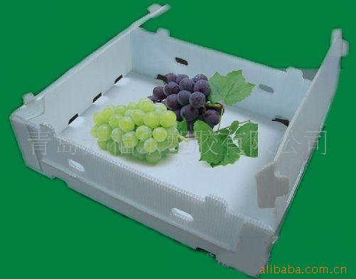 供应葡萄包装箱、水果包装箱、中空板包装箱