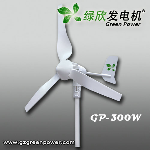 广州绿欣300W/12v风力发电机