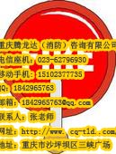 重庆南岸区幼儿园代办消防审批手续找腾隆达消防代办