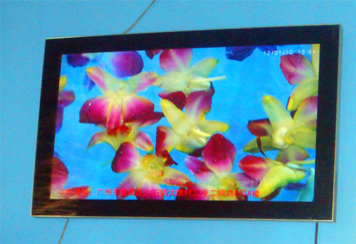 广州柏海供应55寸单机广告机圆角壁挂式