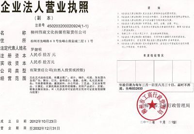 柳州监控伟宸理念科技有限公司